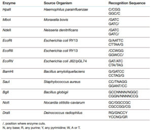 table showing the restriction enzymes